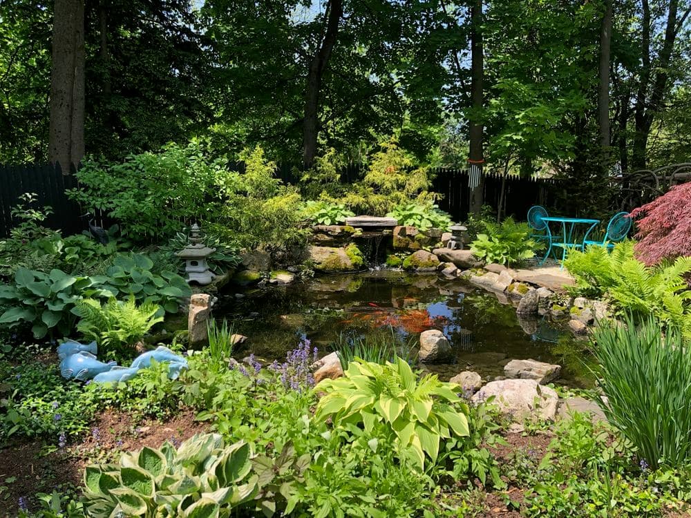 Lush garden featuring a serene pond, vibrant fish, and decorative stones surrounded by greenery.