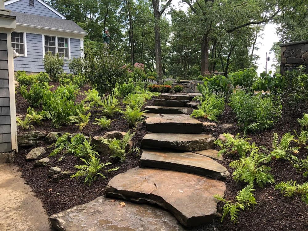 Hero image